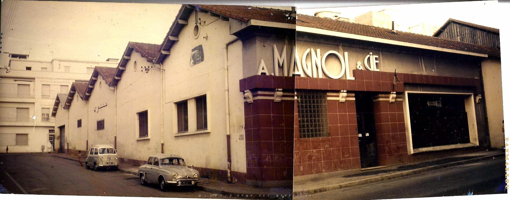 2 Oran - Ets Magnol - Rue Sidi-Ferruch.jpg